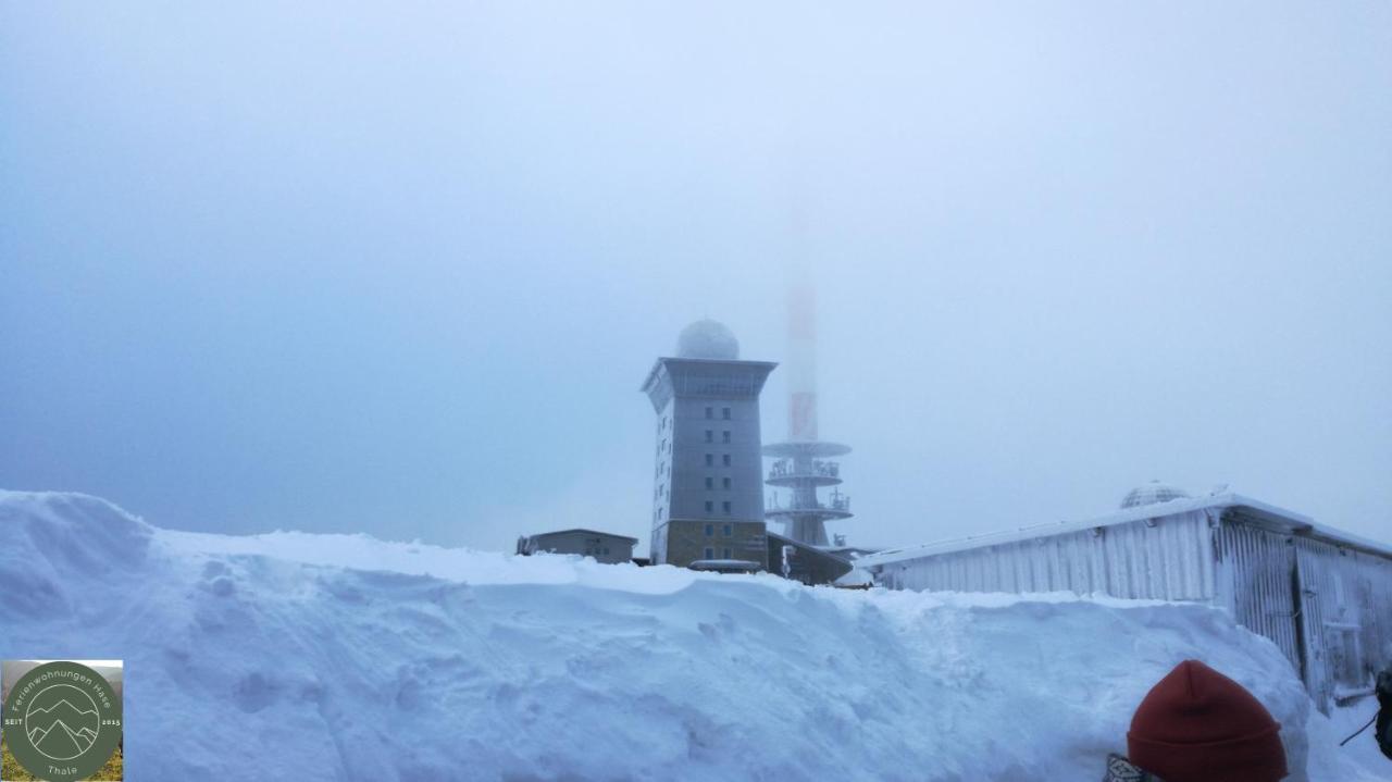 Ferienwohnung Kahlenberg Thale Esterno foto